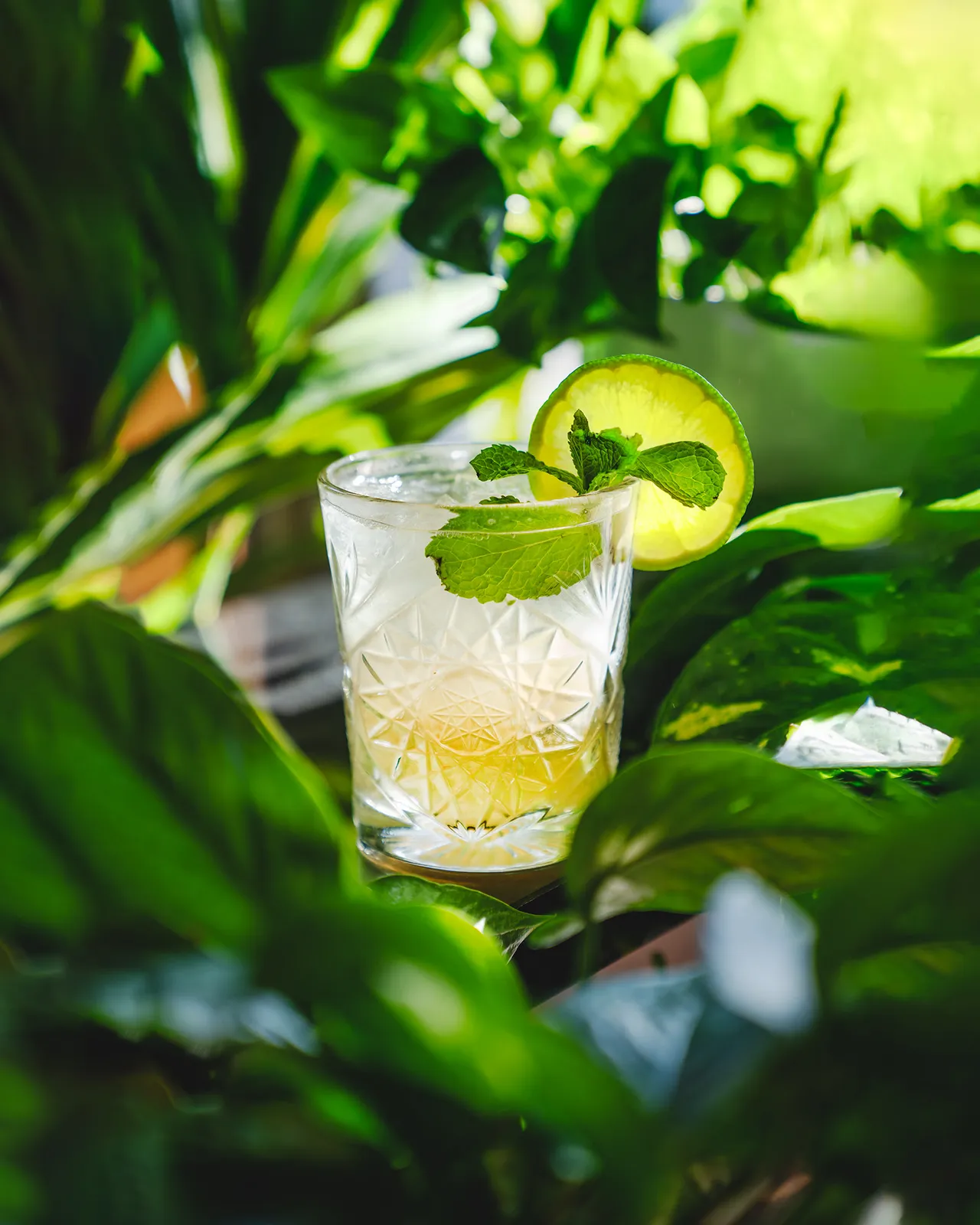 Styled cocktail photography created for The Oak Room's social media feed