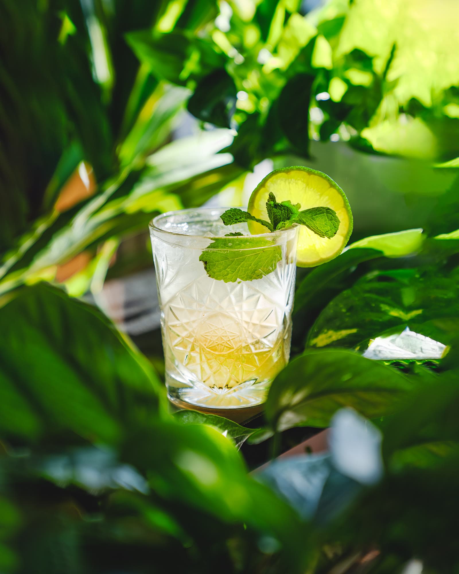 Styled cocktail photography created for The Oak Room's social media feed