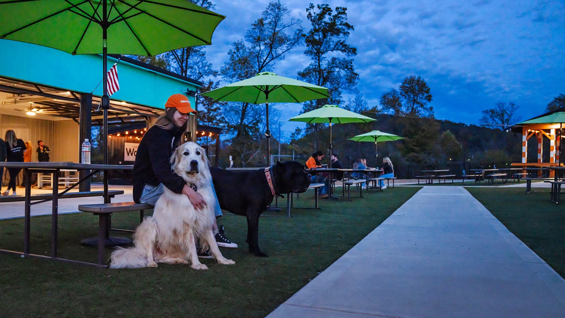 Wagbar Knox — views in the launch month